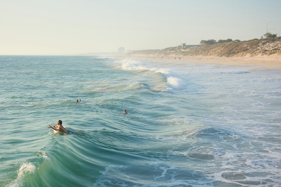8 simple things you can do today for a more sustainable future