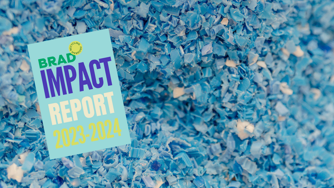 BRAD Impact Report 2023/24