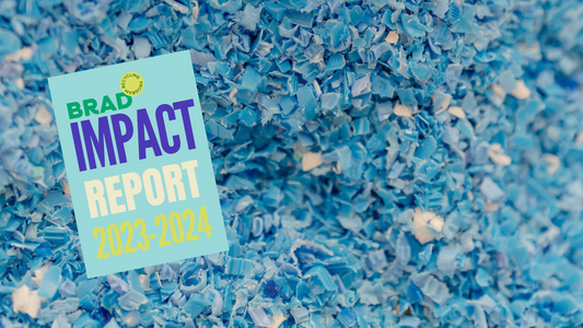 BRAD Impact Report 2023/24