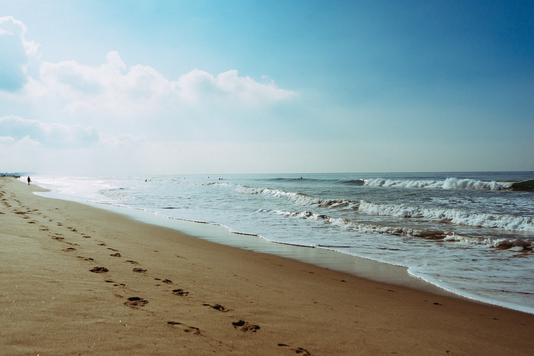 Everything you need to know about your ecological footprint
