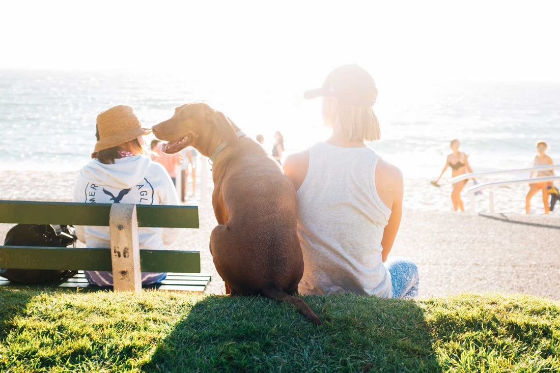 How To Get Involved With Clean Up Australia Day 2018