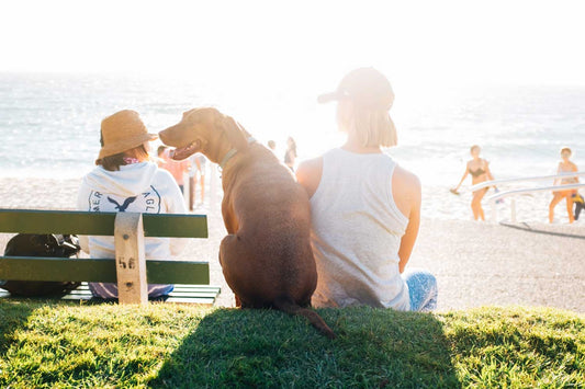 How To Get Involved With Clean Up Australia Day 2018