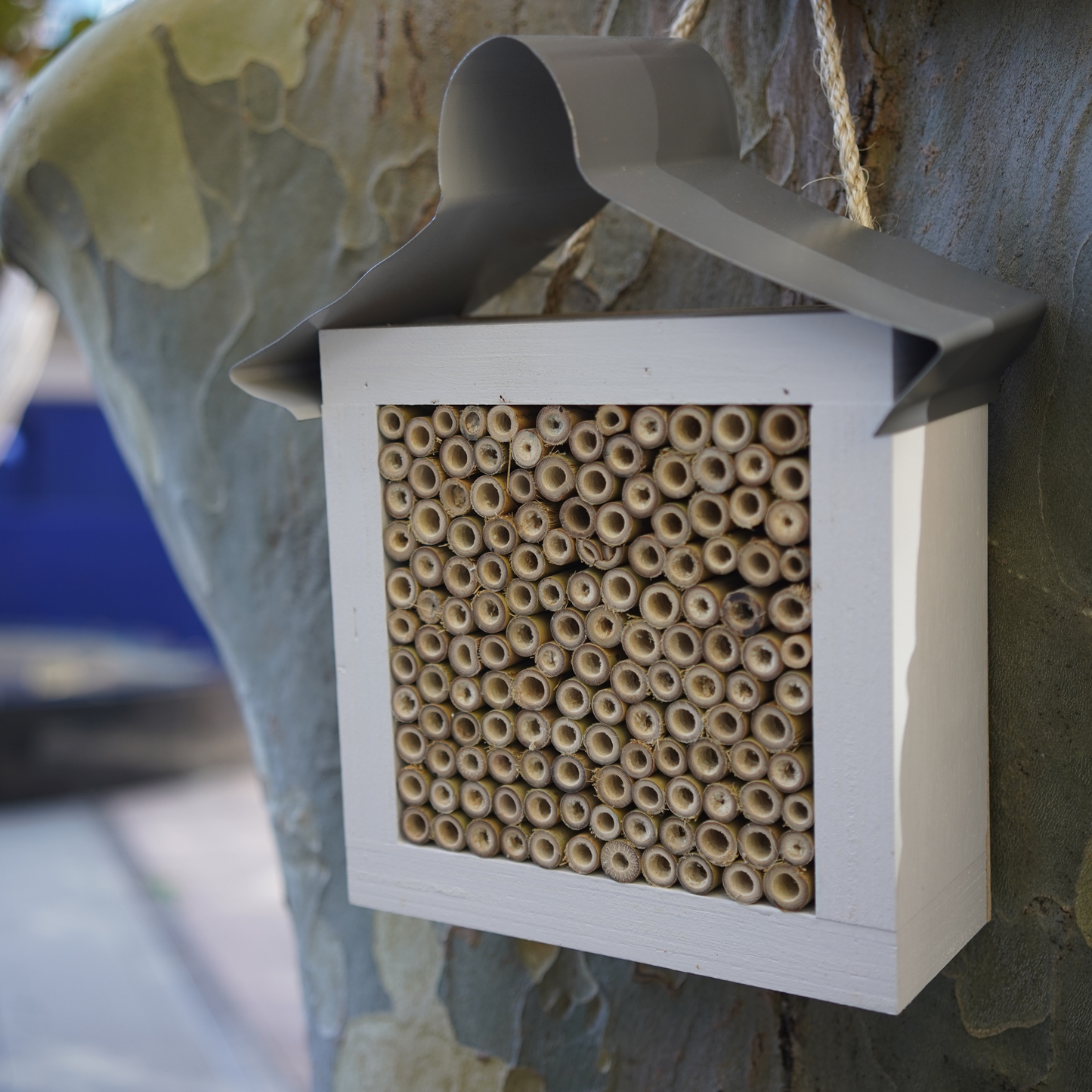 Bee, Ladybird and Insect Hotel | Timber With Roof - Banish