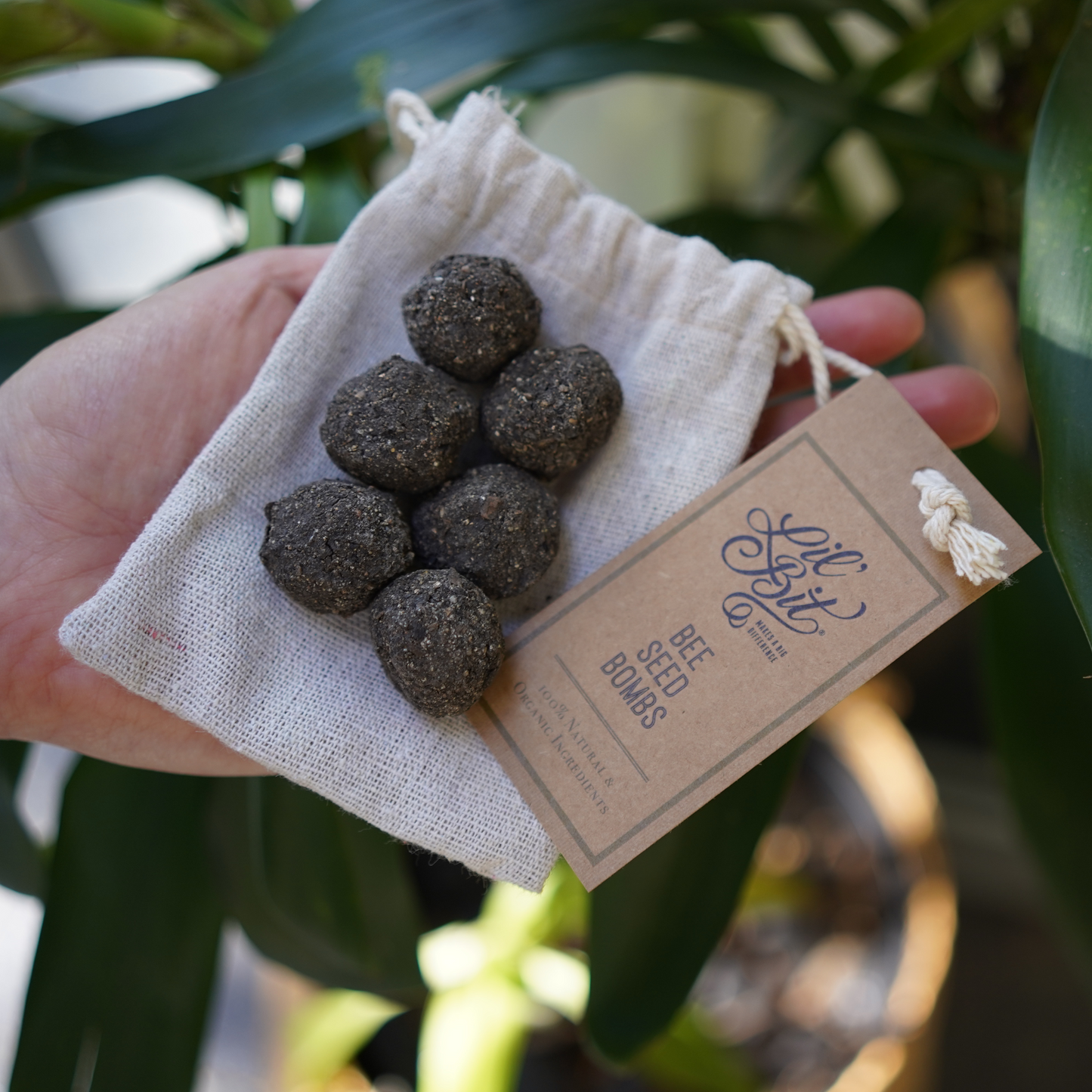 Bee Seed Bombs (6) - Banish