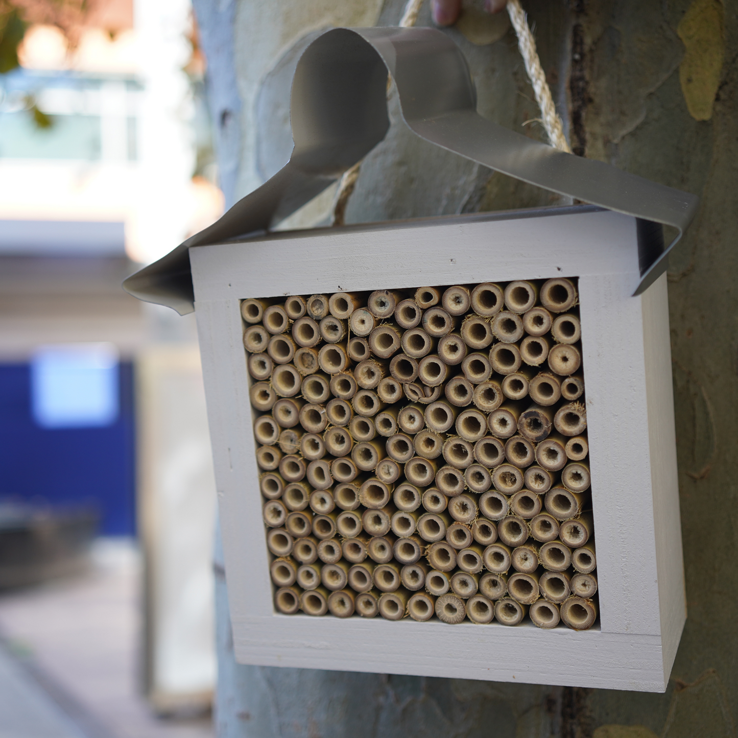 Bee, Ladybird and Insect Hotel | Timber With Roof - Banish
