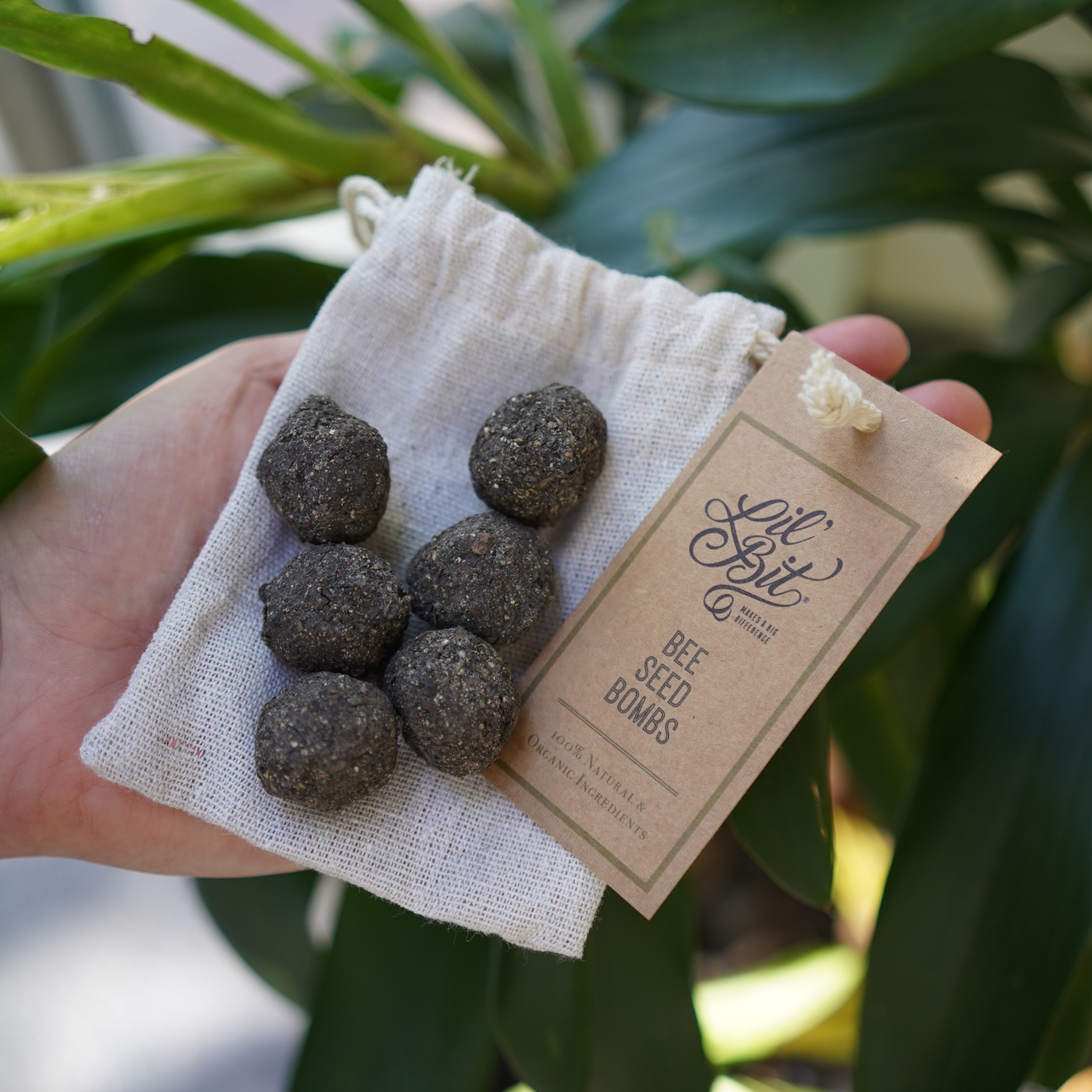Bee Seed Bombs (6) - Banish