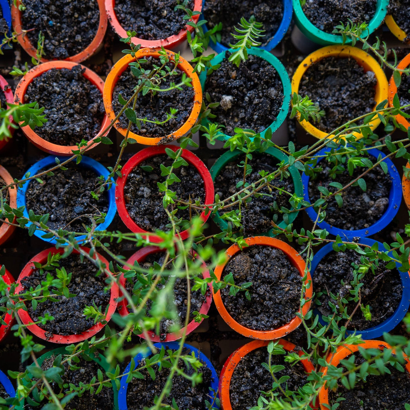 Recycled Plastic Mini Pot Plant Pot