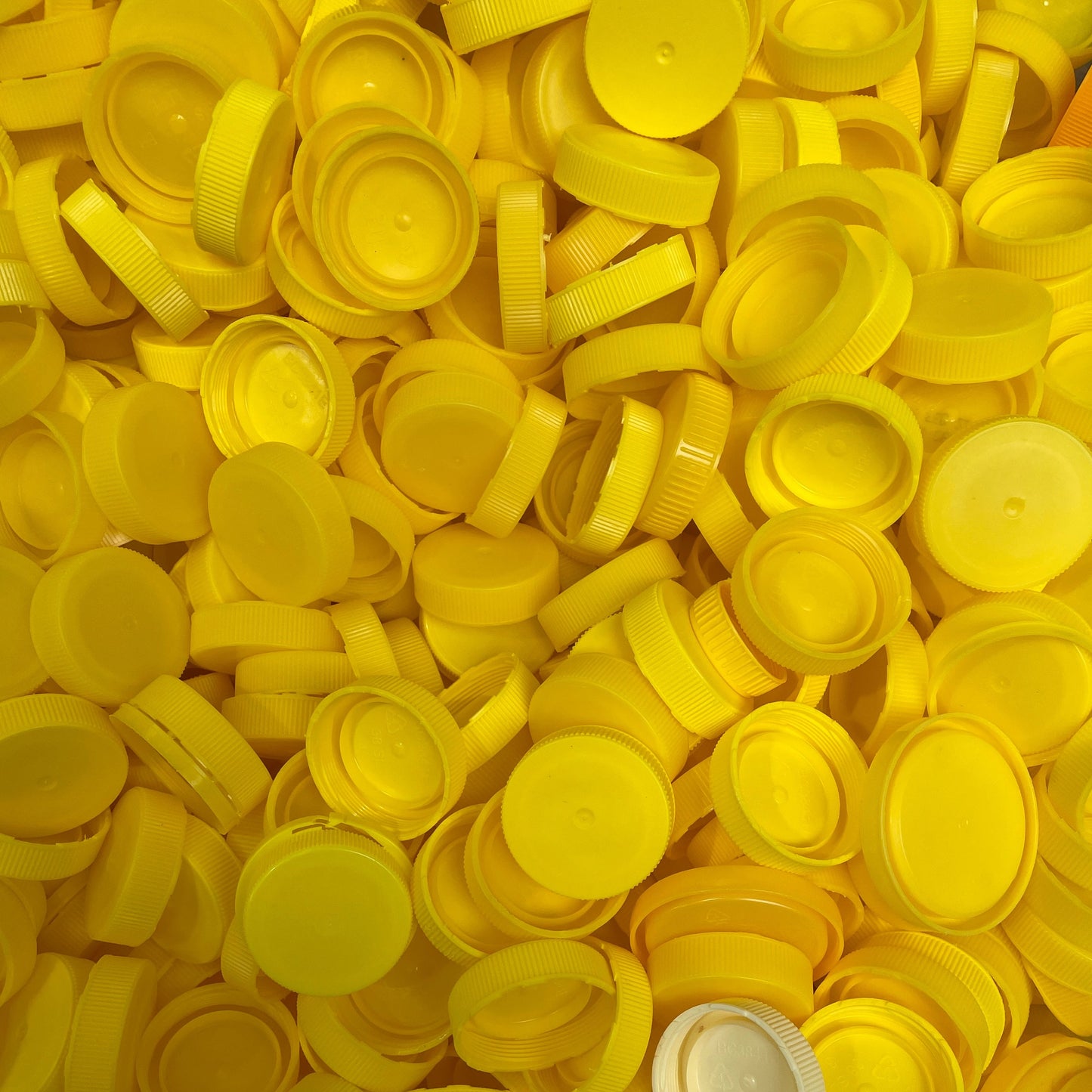 Recycled Shredded Plastic Flakes