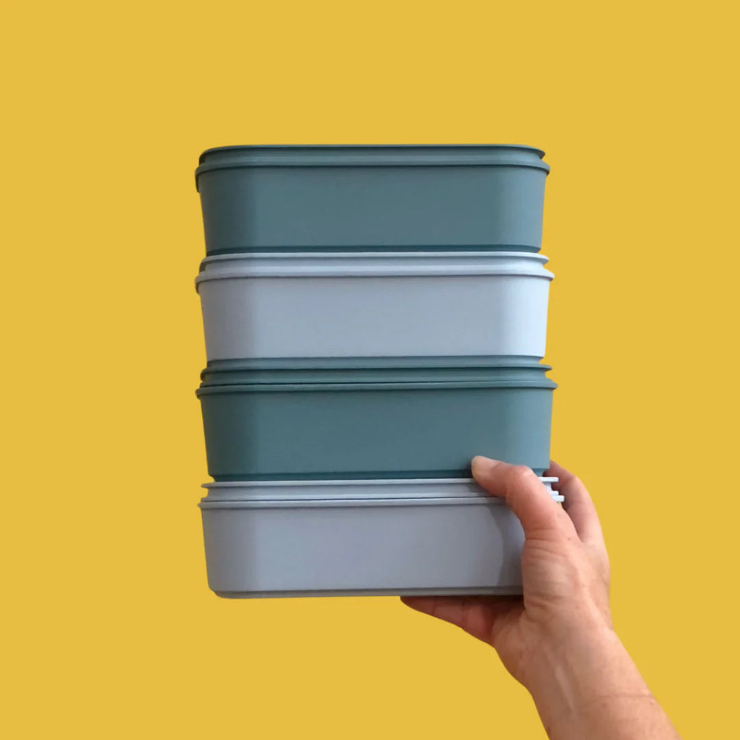 Reusable Recycled Plastic Takeaway Container