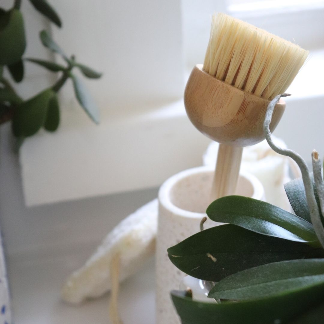 Bamboo Kitchen Dish Brush - Banish