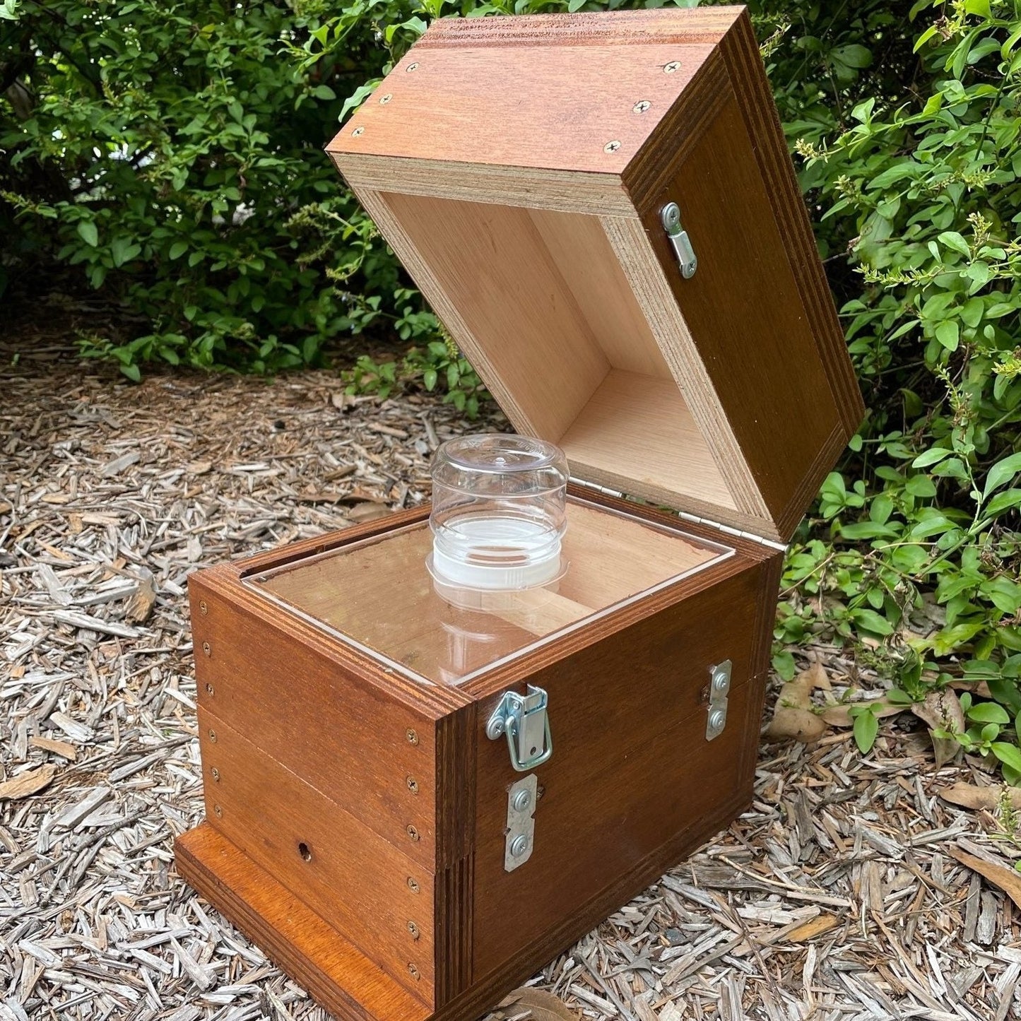 Honey Jar Hinged Lid Beehive OATH Box Stingless Australian Native Bee Hive