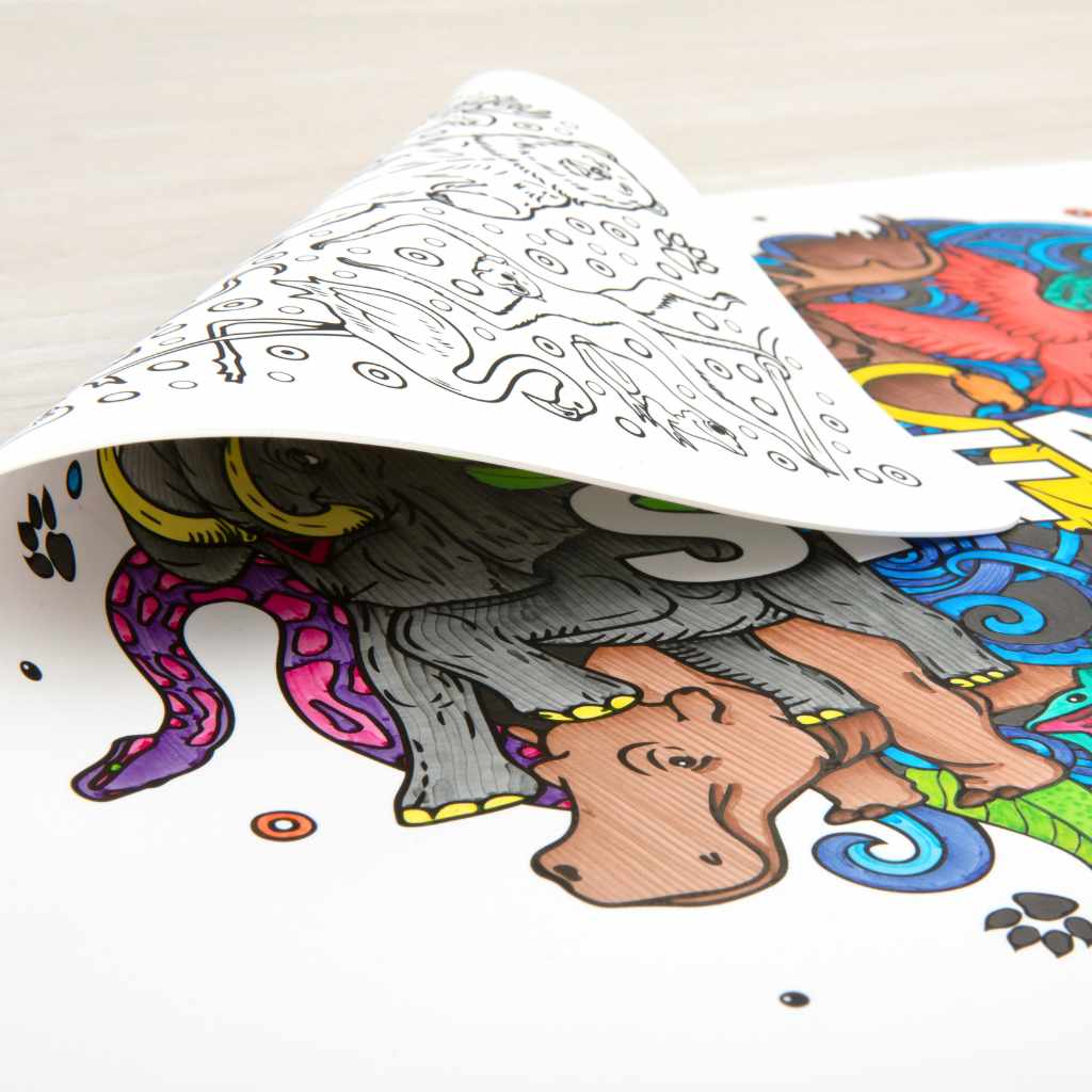 SAFARI Re-FUN-able™ Colouring Set (NEW!)