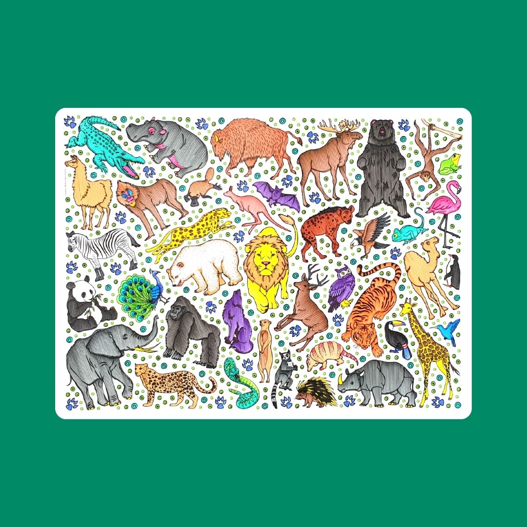 SAFARI Re-FUN-able™ Colouring Set (NEW!)