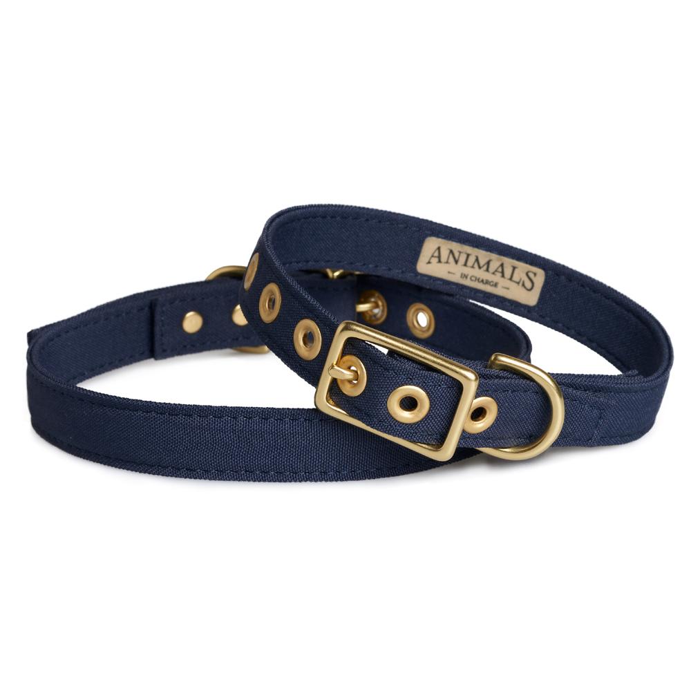 All Weather Dog Collar