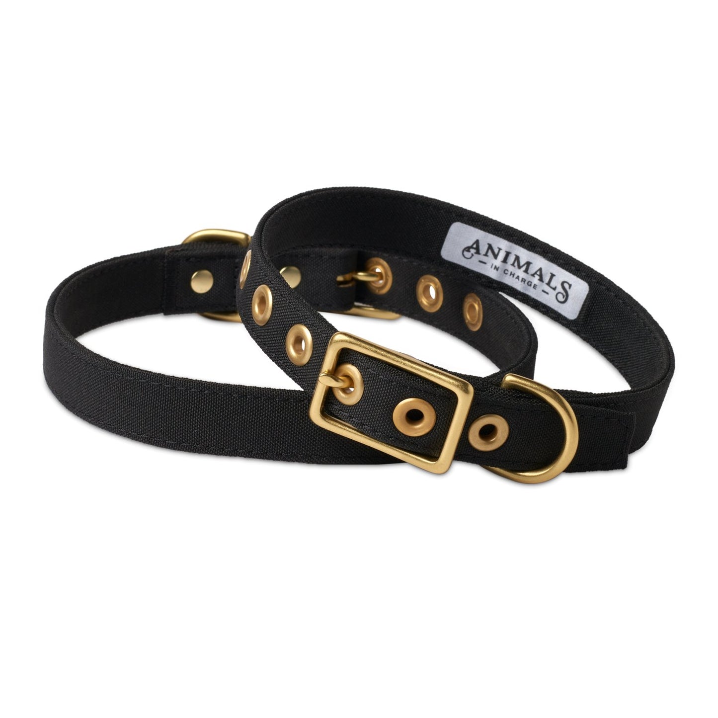 All Weather Dog Collar