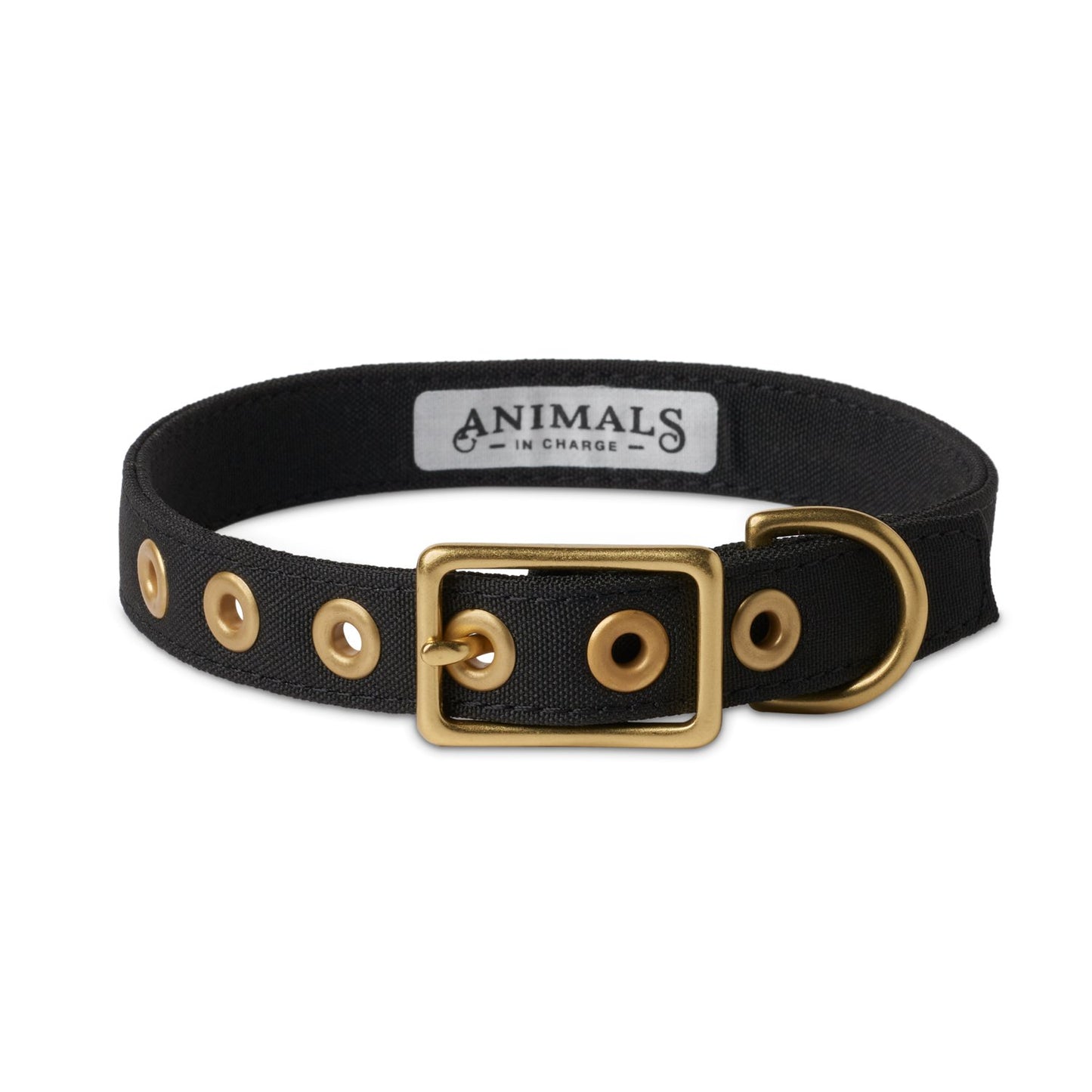 All Weather Dog Collar
