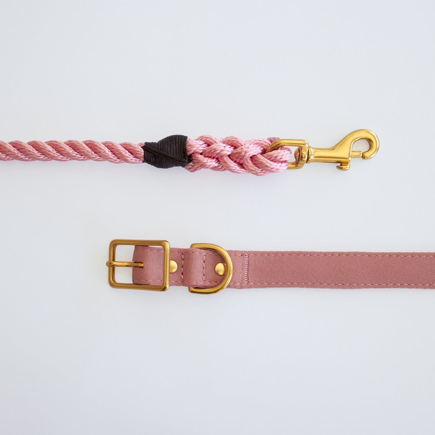 All Weather Dog Collar