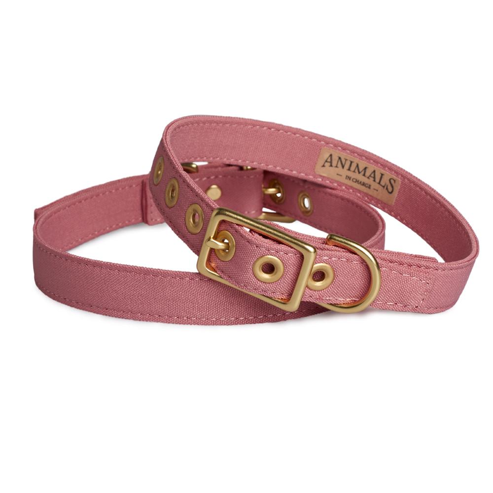 All Weather Dog Collar
