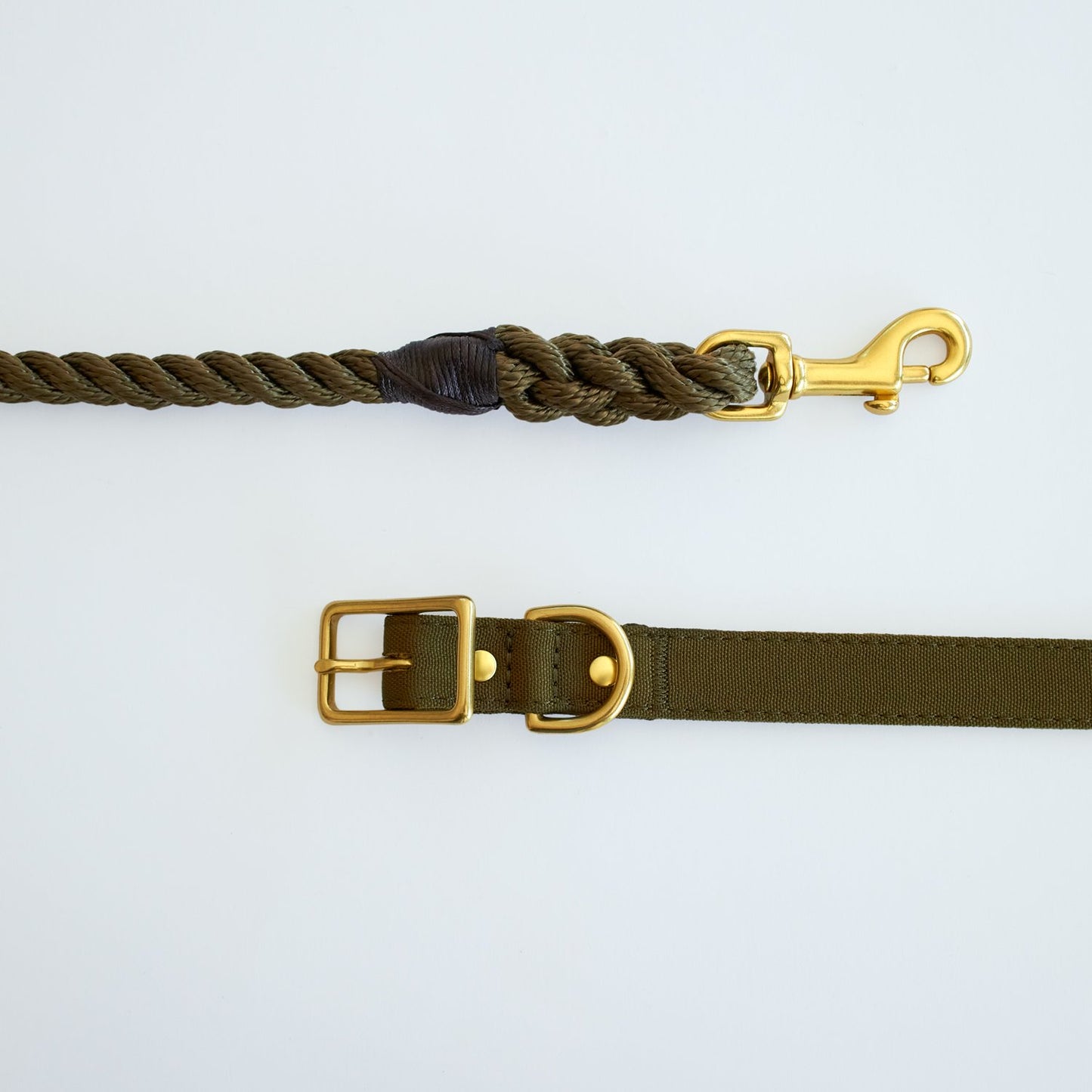 All Weather Dog Collar
