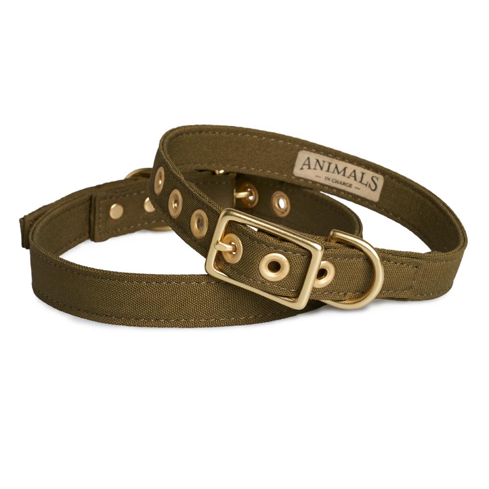 All Weather Dog Collar