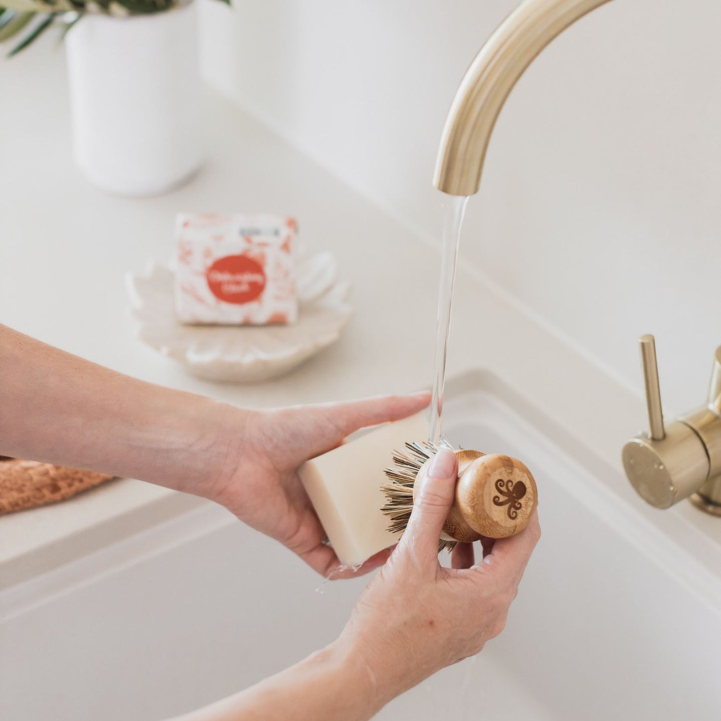 Short Bamboo Dish Brush – 2 pack - Banish