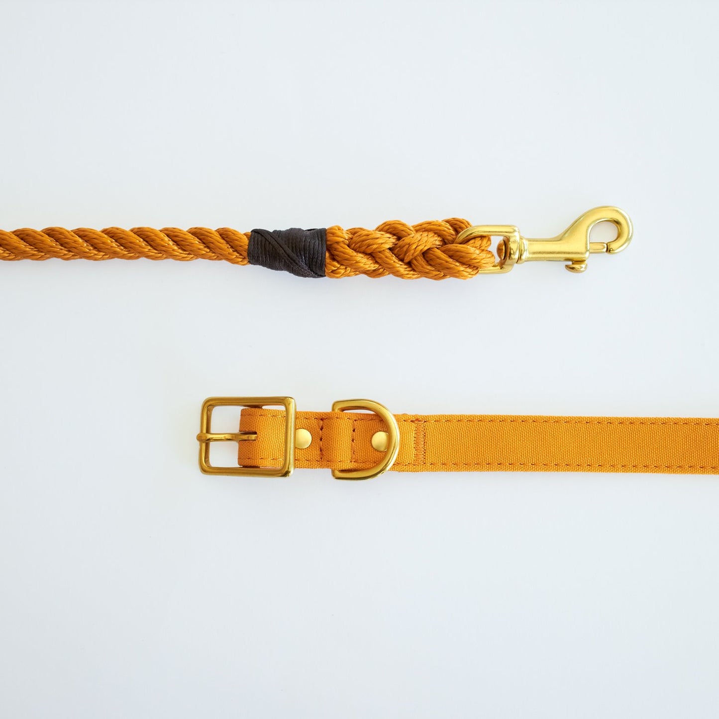 All Weather Dog Collar