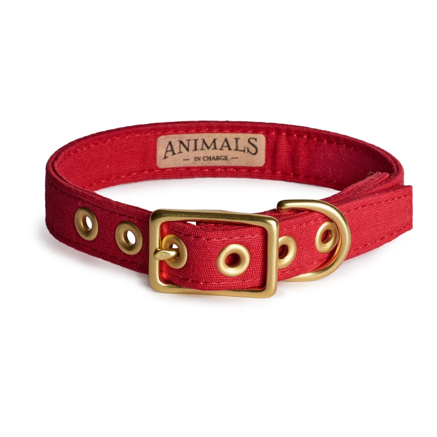 All Weather Dog Collar