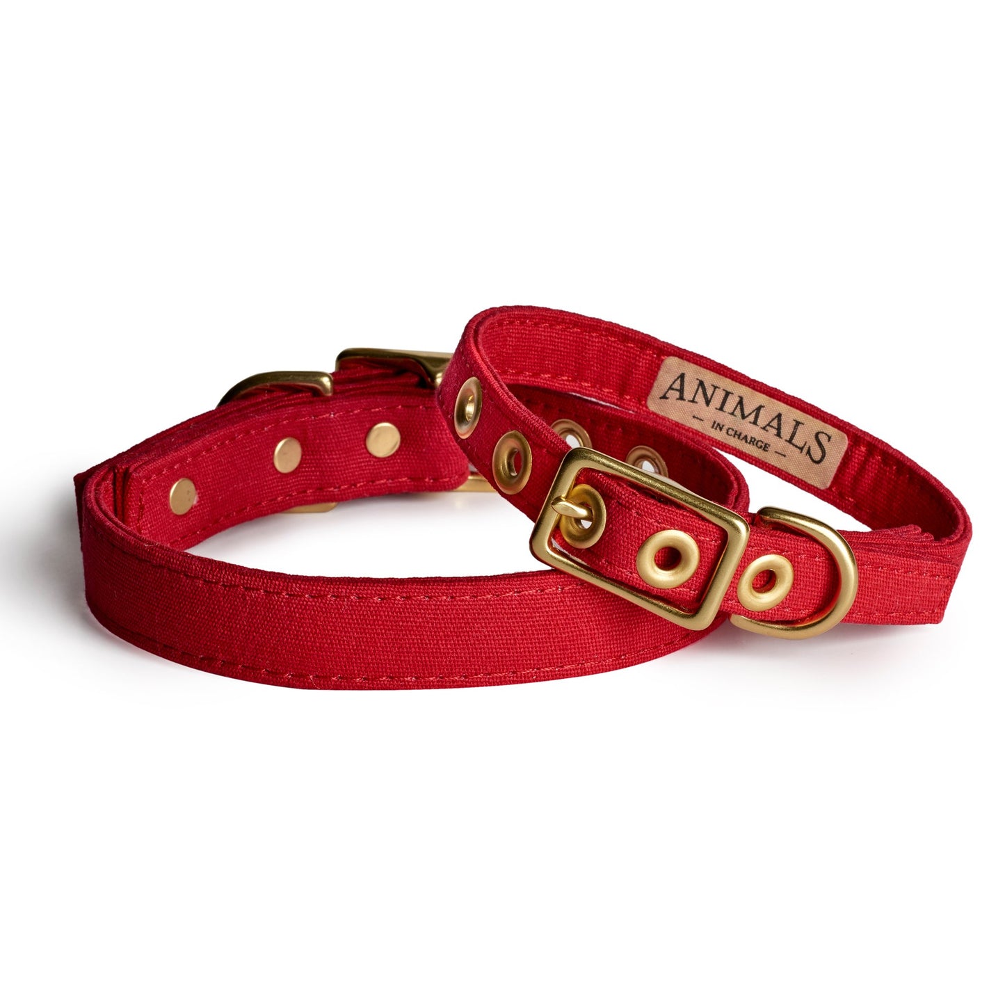 All Weather Dog Collar