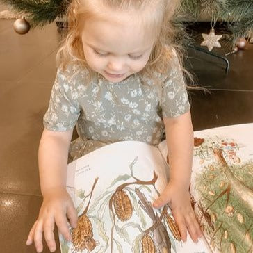 Franki and the Banksia