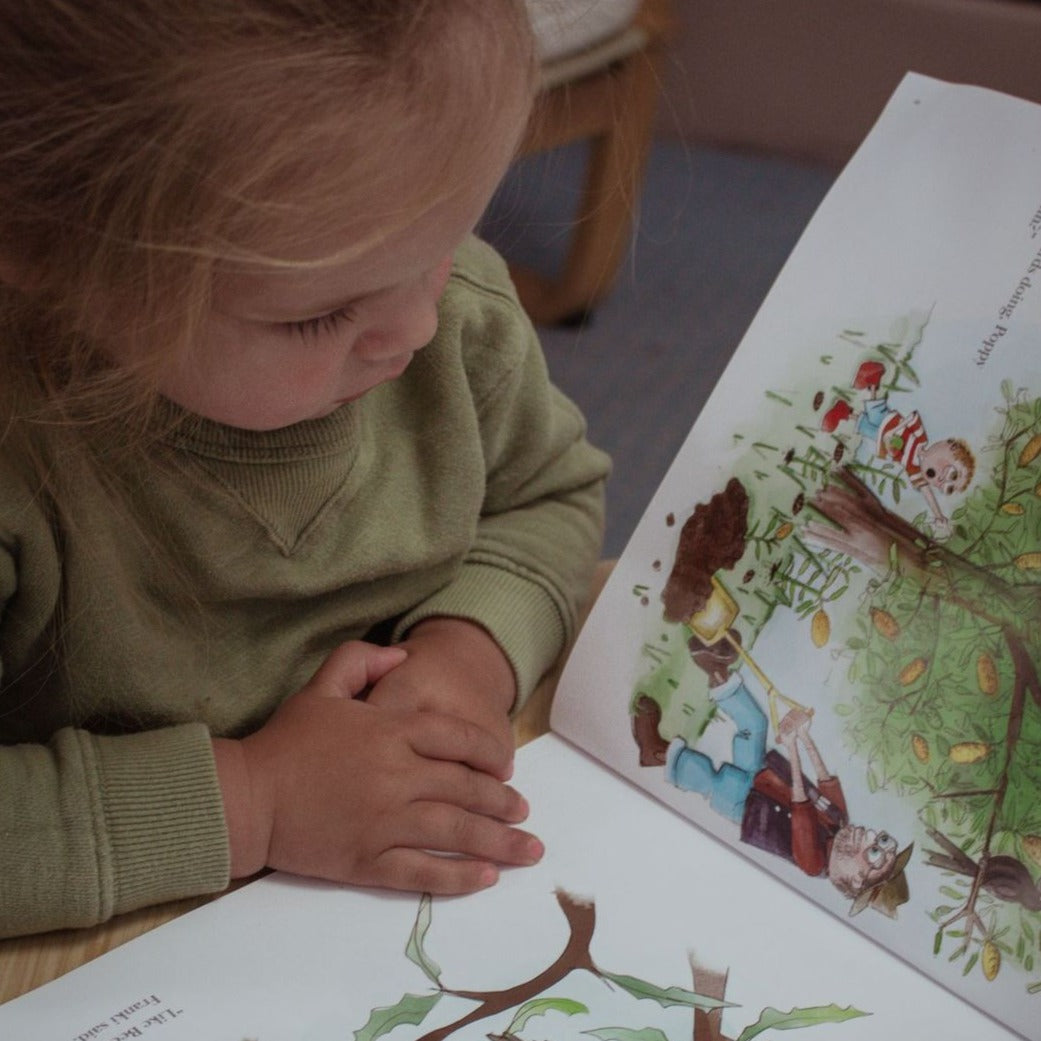 Franki and the Banksia