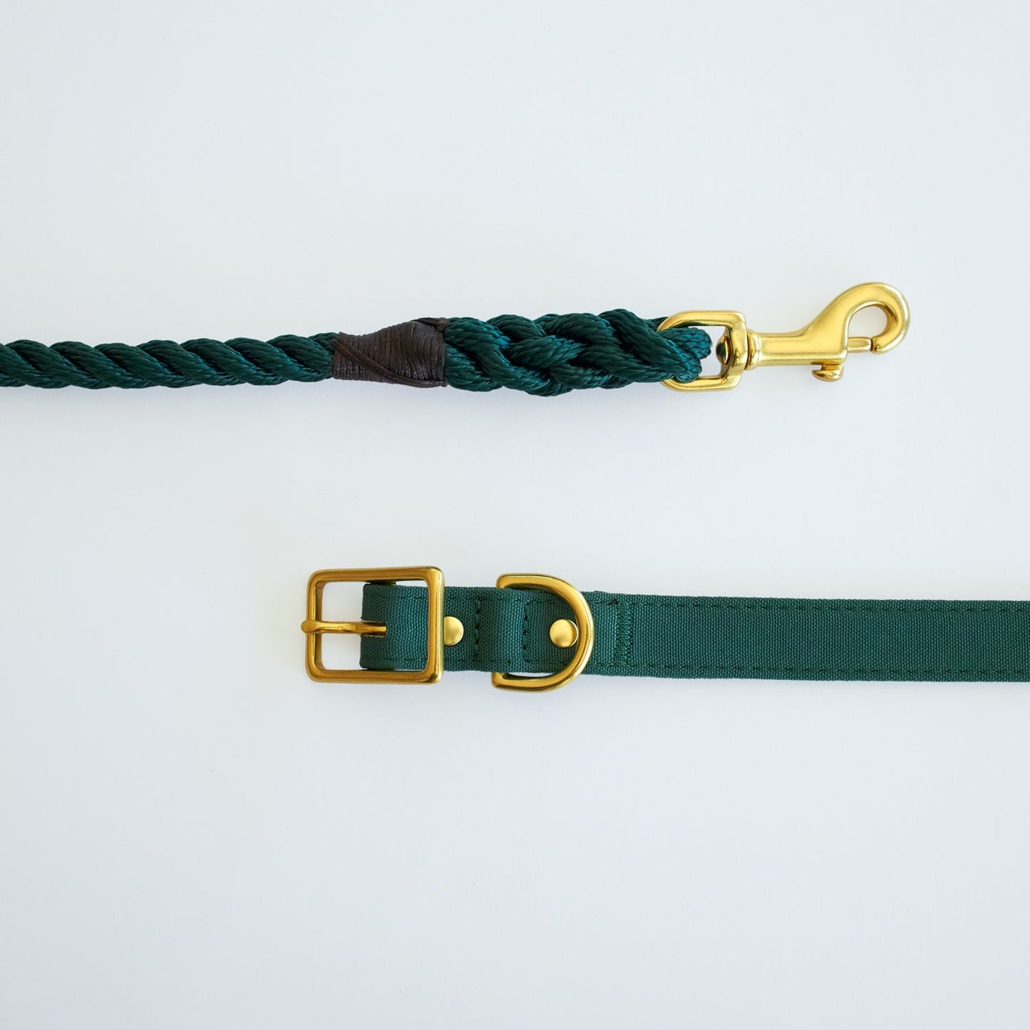 All Weather Dog Collar