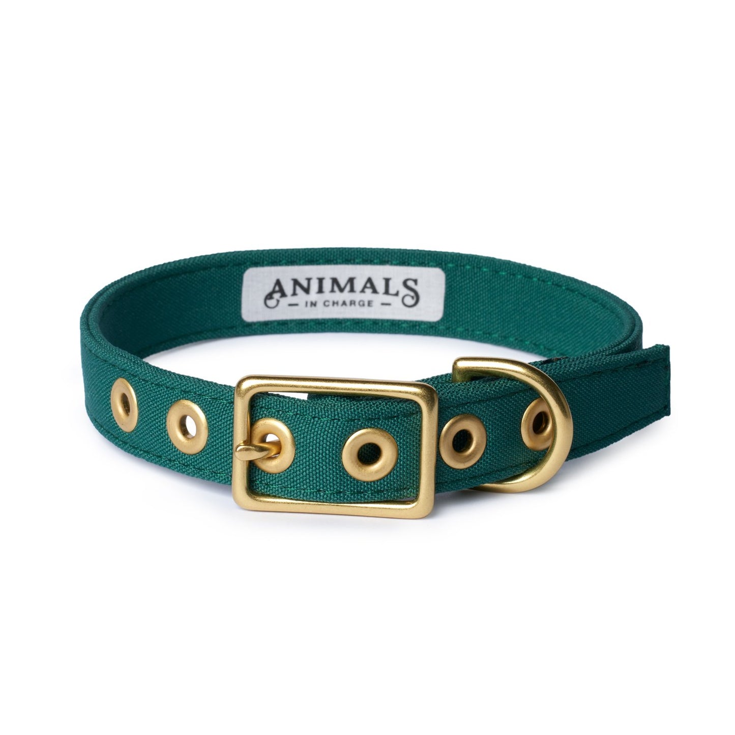 All Weather Dog Collar