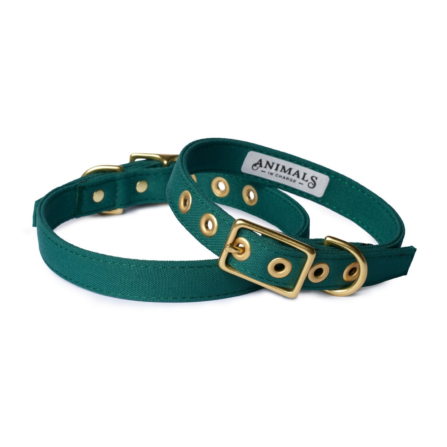 All Weather Dog Collar