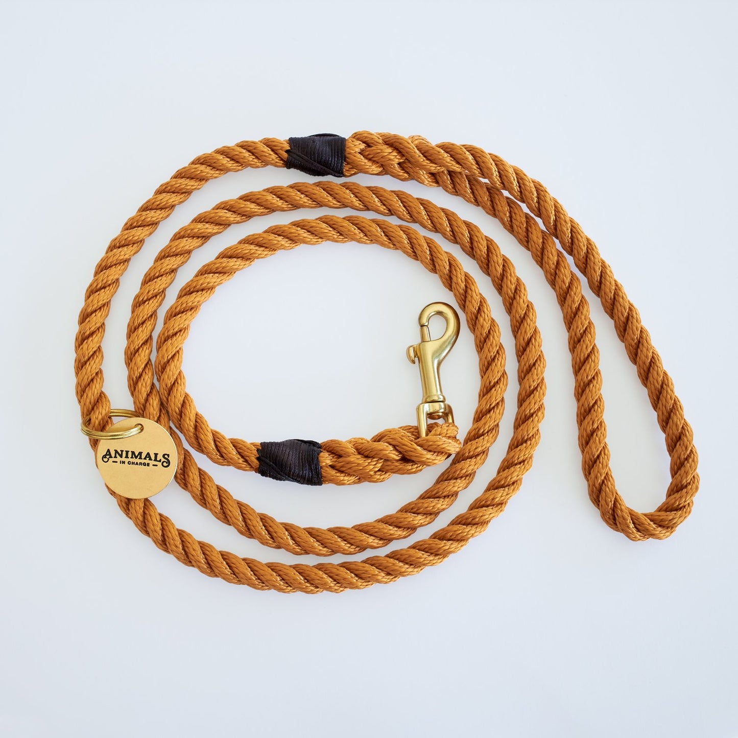 All Weather Dog Leashes