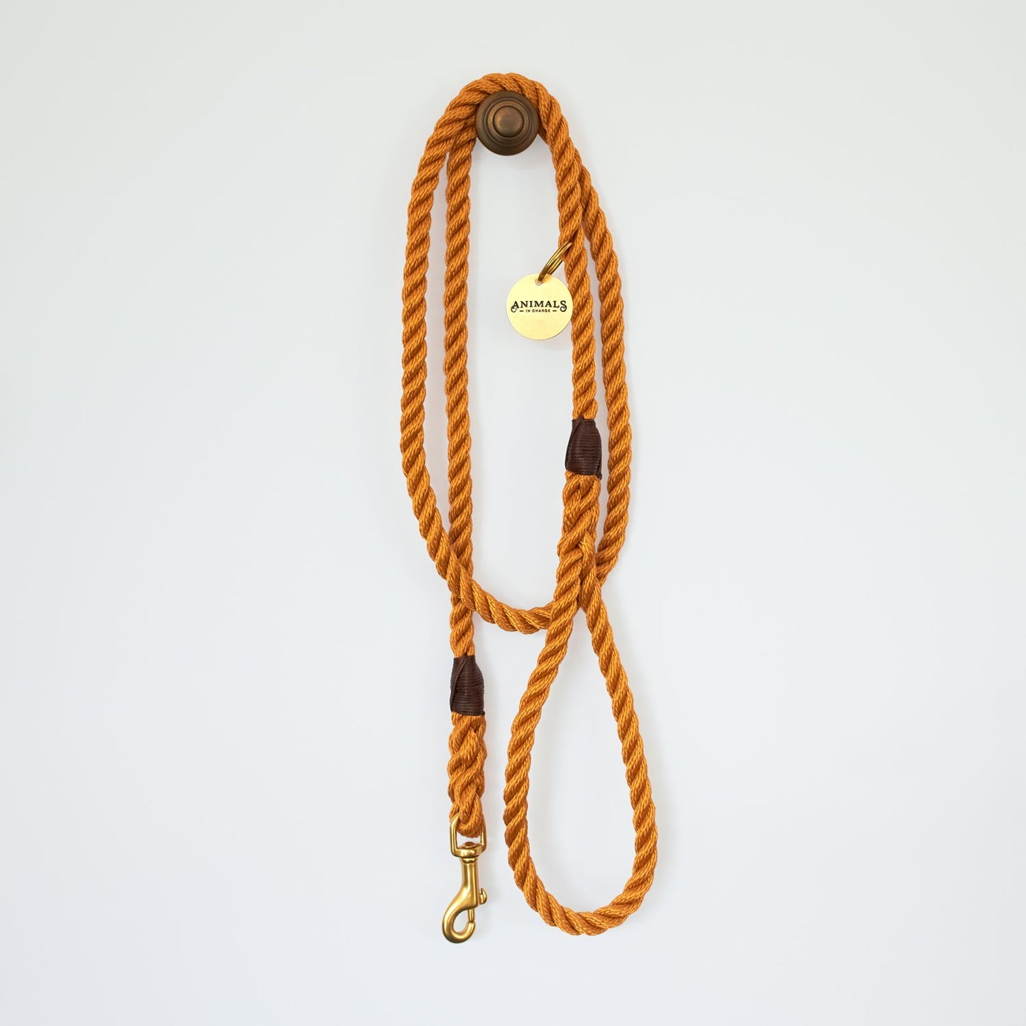 All Weather Dog Leashes