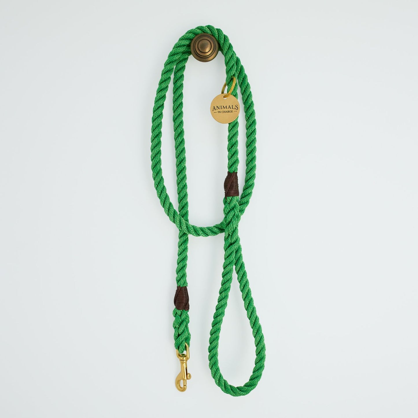 All Weather Dog Leashes