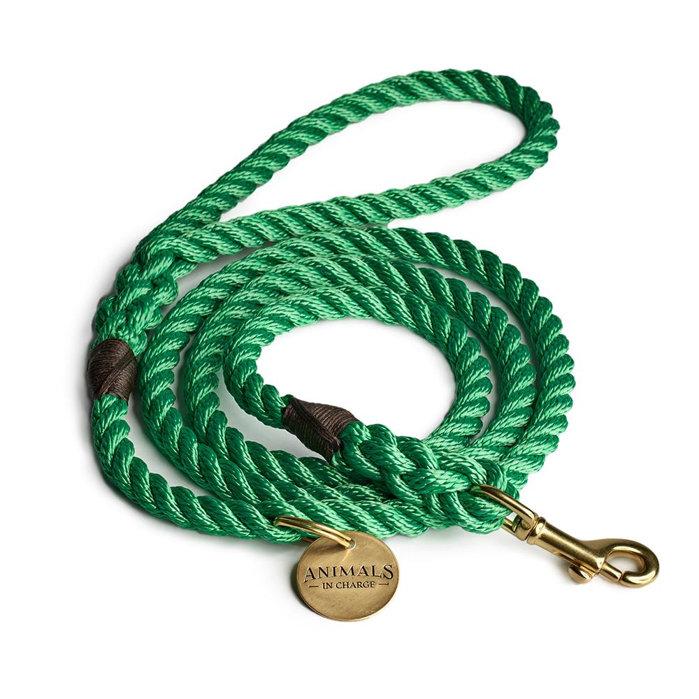 All Weather Dog Leashes