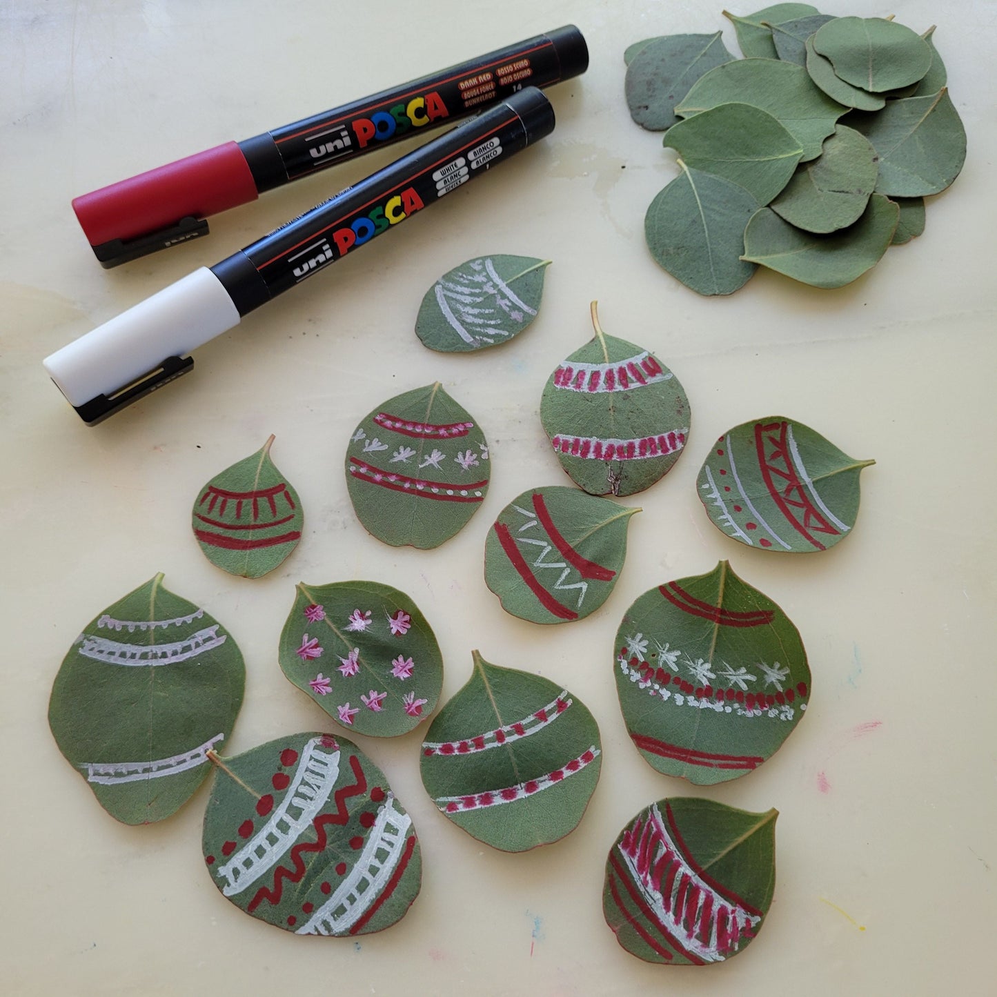 Discover Australian flora and fauna