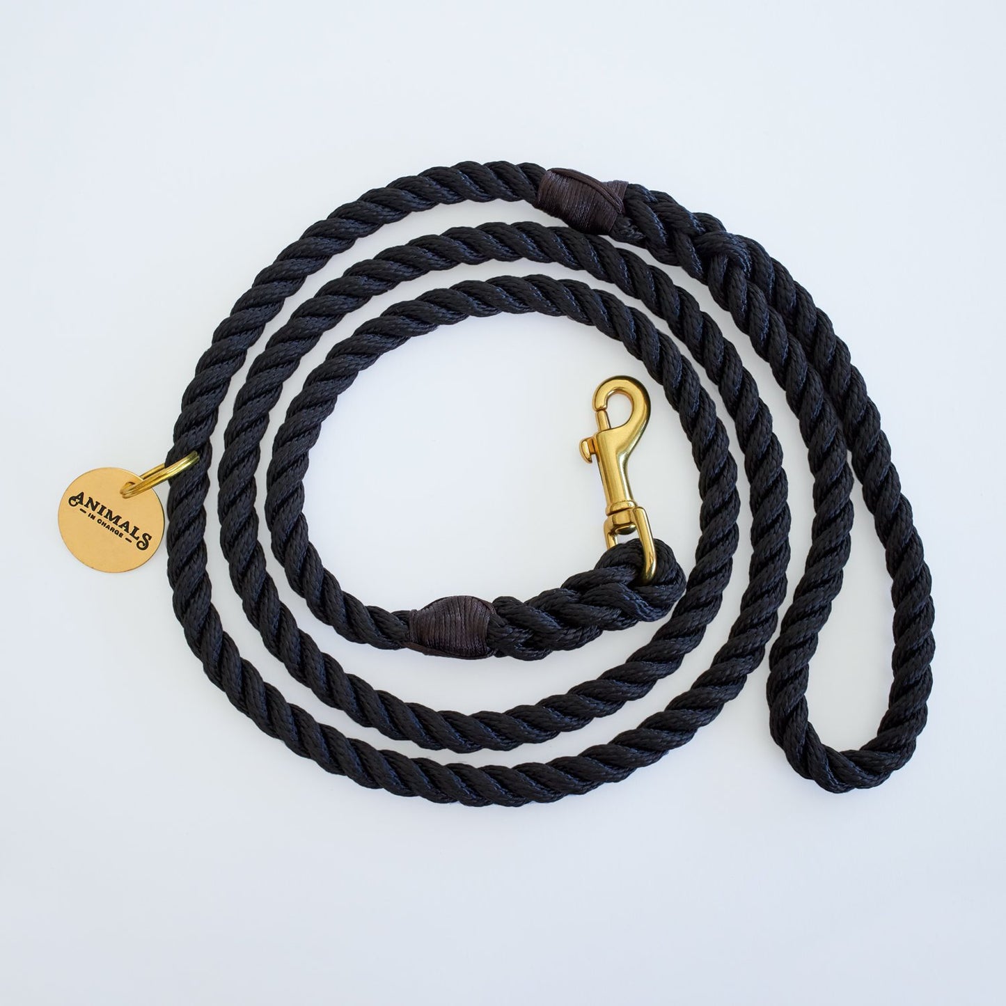 All Weather Dog Leashes