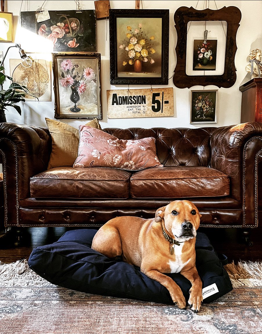 Plush Recycled Dog Beds