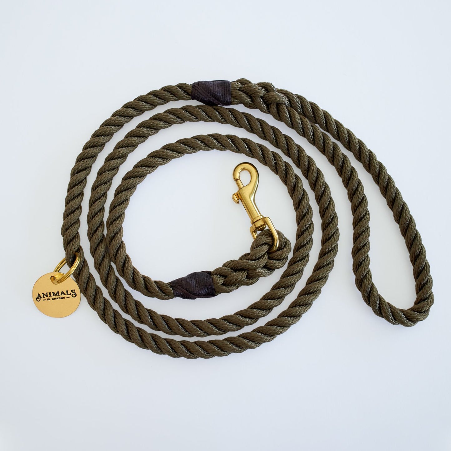 All Weather Dog Leashes