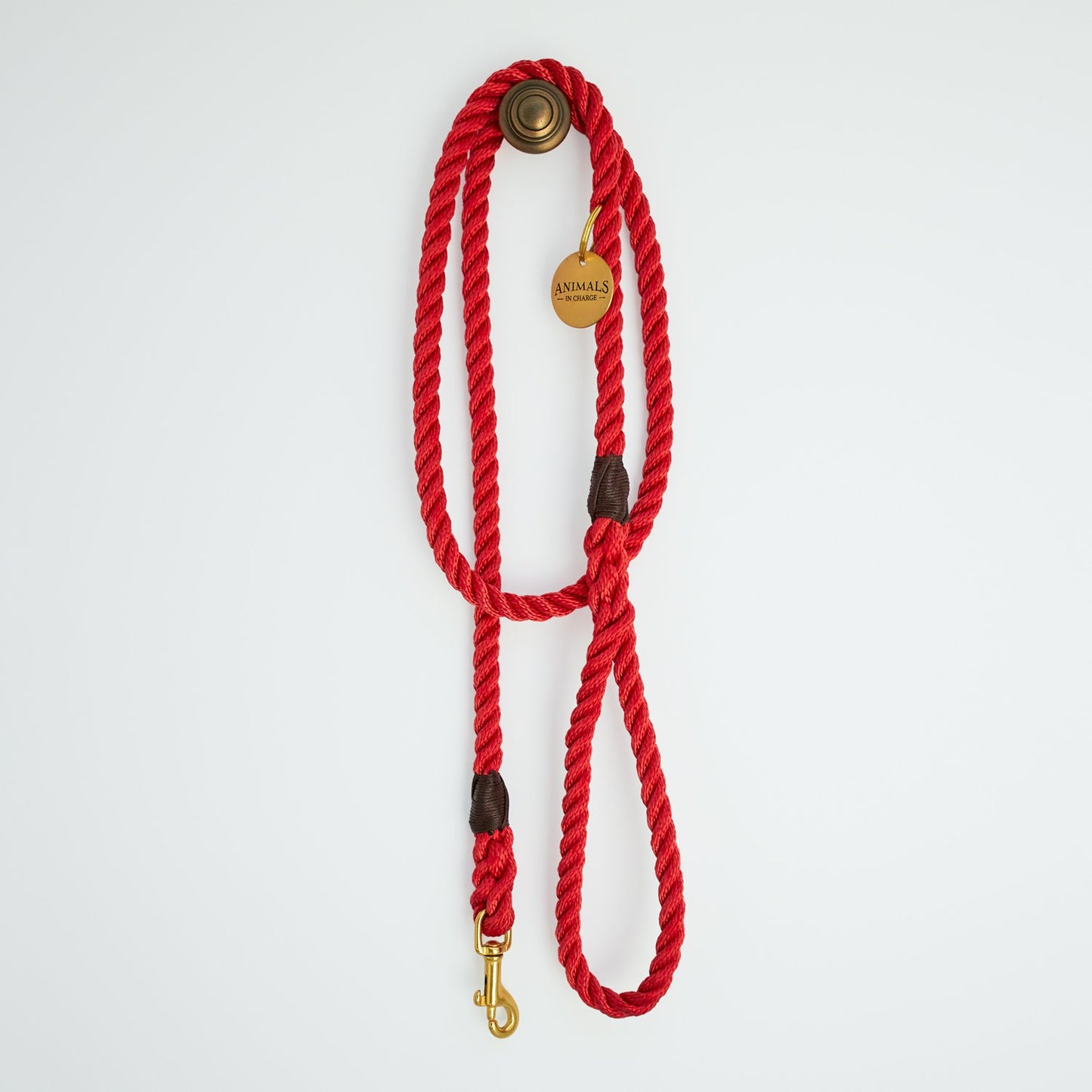 All Weather Dog Leashes