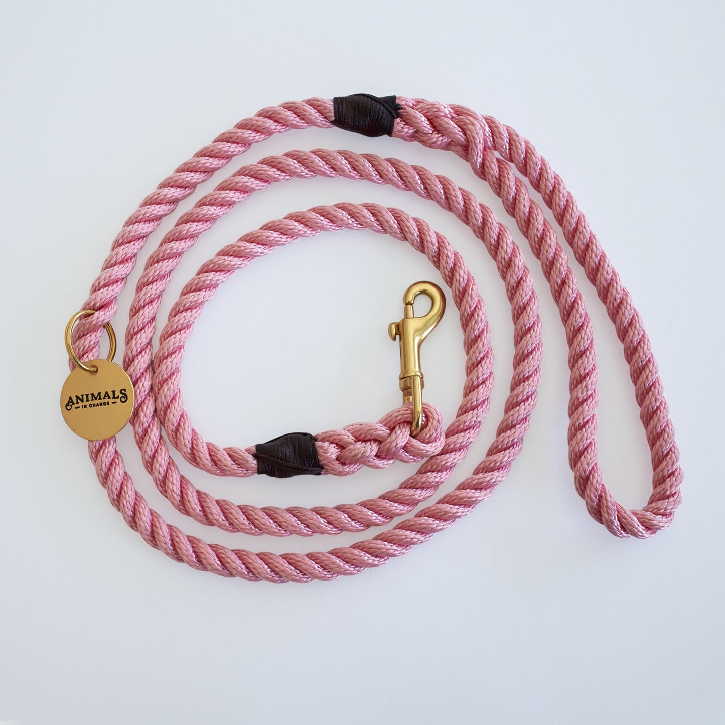 All Weather Dog Leashes