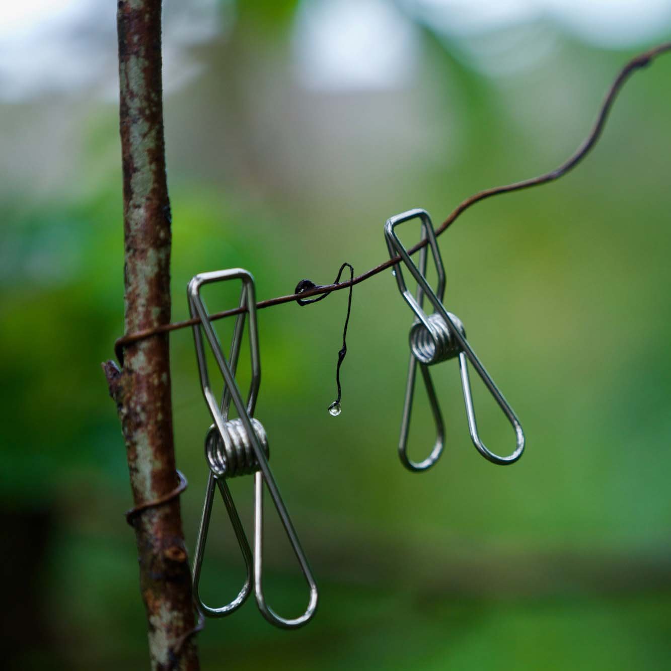 Clothes Pegs Silver?id=8347441365110