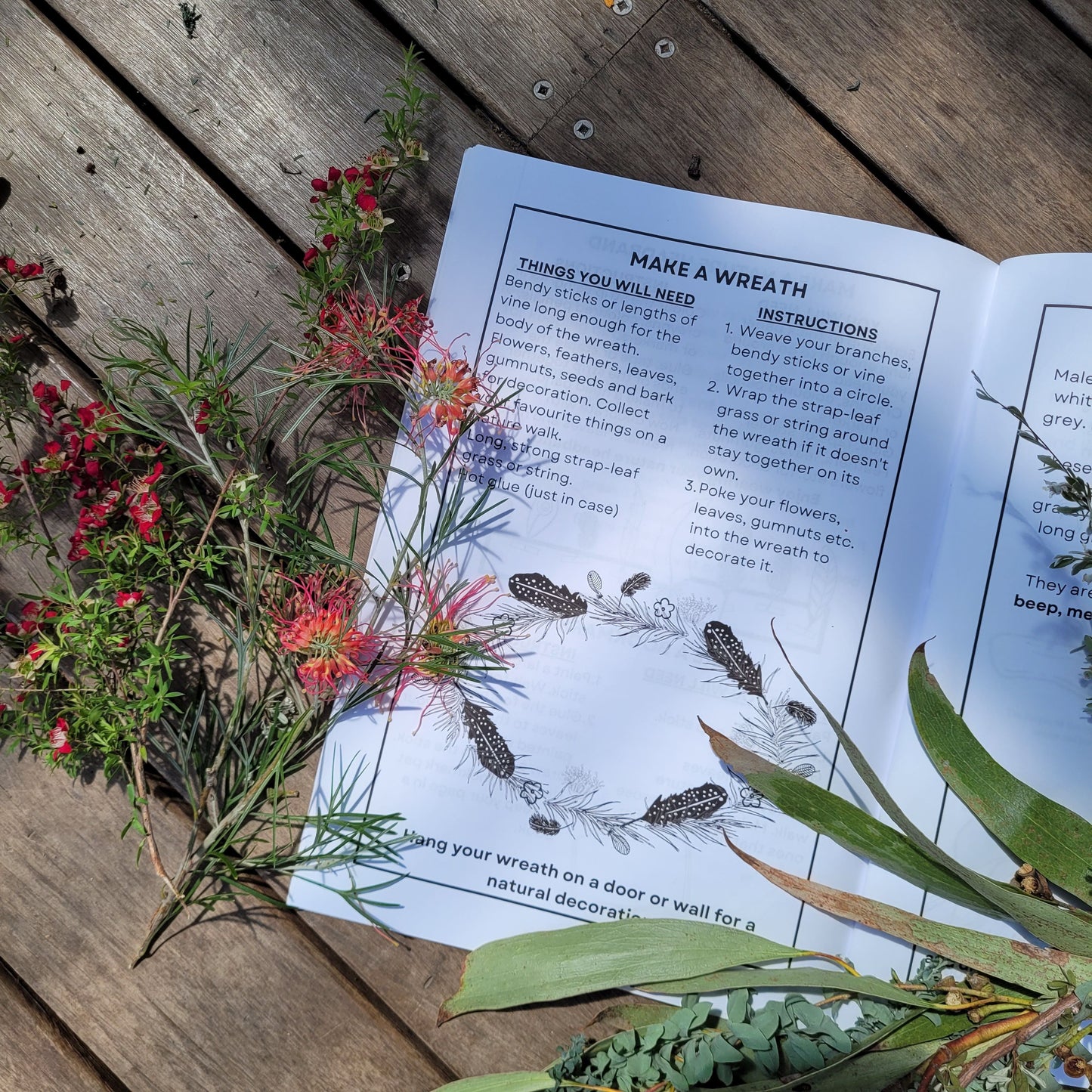 Discover Australian flora and fauna