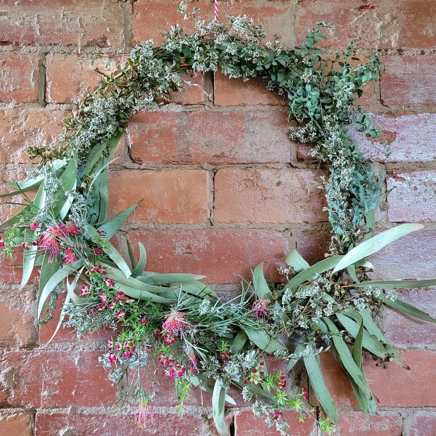 Discover Australian flora and fauna
