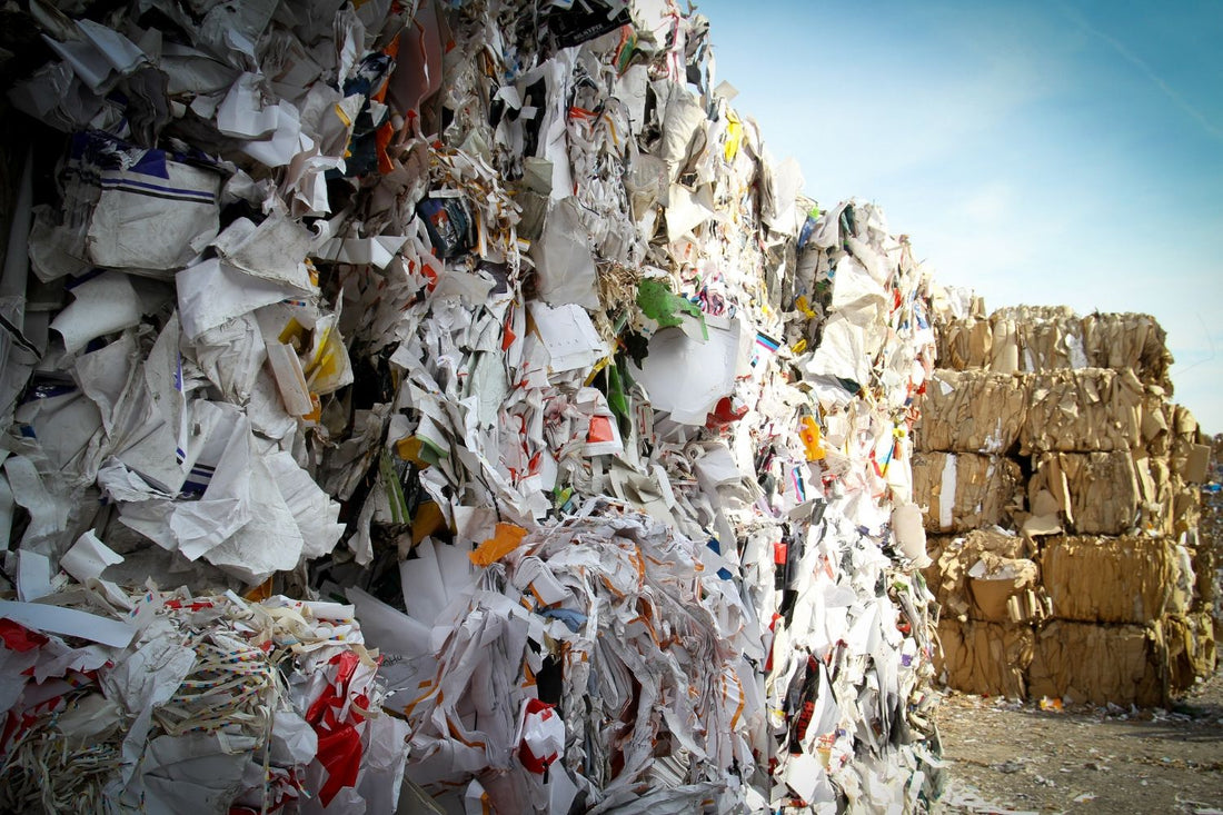 Don't just blame government and business for the recycling crisis – it begins with us