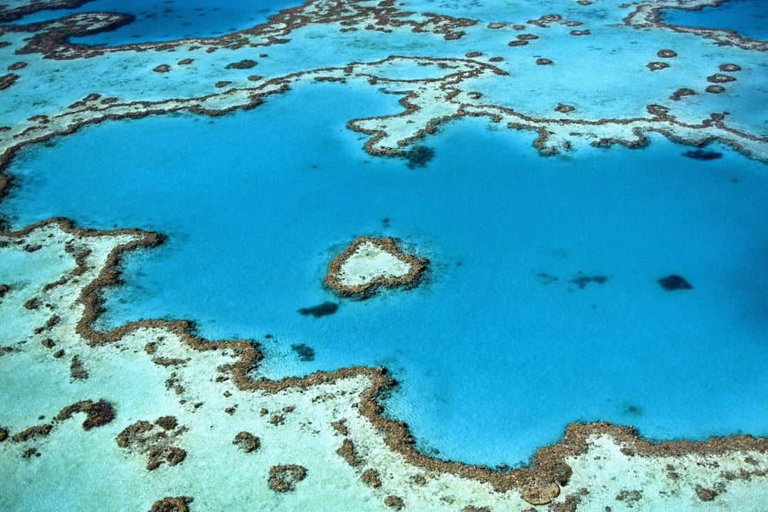 If we can put a man on the Moon, we can save the Great Barrier Reef