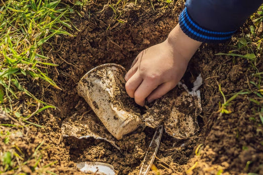 Do you toss biodegradable plastic in the compost bin? Here’s why it might not break down