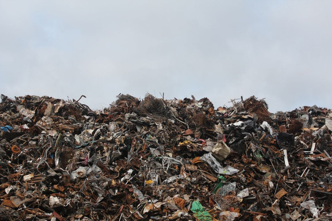 Australia's waste export ban becomes law, but the crisis is far from over